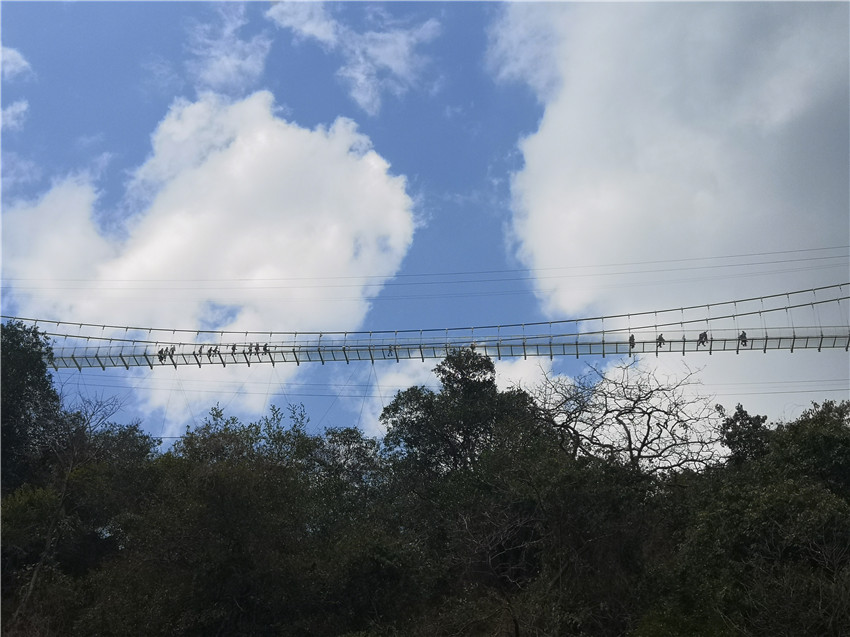 必发365(中国)兴趣网投天天必发