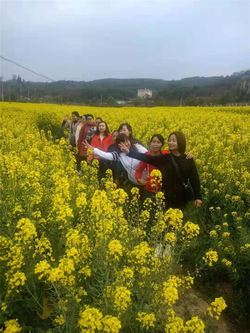 必发365(中国)兴趣网投天天必发