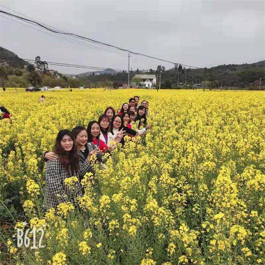必发365(中国)兴趣网投天天必发